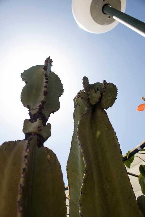 Hébergement de vacances Casa De 5 Y 2 Terrazas Maspalomas (Gran Canaria)